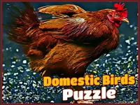 https://huamogames.com//game/domestic-birds-puzzle