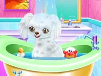 https://huamogames.com//game/my-new-poodle-friend