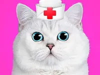 https://huamogames.com//game/cat-pet-doctor-dentist