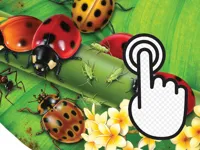 https://huamogames.com//game/ladybug-clicker