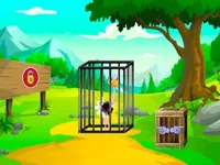 https://huamogames.com//game/rescue-the-ostrich-chick