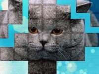 https://huamogames.com//game/picpu-cat-puzzle