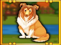 https://huamogames.com//game/bernese-mountain-dog-escape