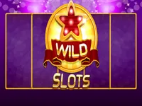 https://huamogames.com//game/wild-slot