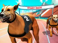 https://huamogames.com//game/crazy-dog-racing-fever