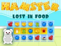 https://huamogames.com//game/hamster-lost-in-food
