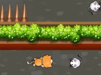 https://huamogames.com//game/cat-trap-labyrinth-escape