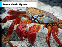 https://huamogames.com//game/beach-crab-jigsaw