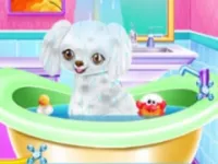 https://huamogames.com//game/my-new-poodle-friend-pet-care-game