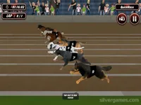 https://huamogames.com//game/crazy-dog-racing-simulator-games-3d