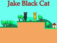 https://huamogames.com//game/jake-black-cat
