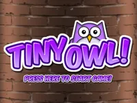 https://huamogames.com//game/tiny-owl
