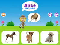 https://huamogames.com//game/world-of-alice-baby-animal