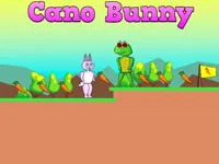 https://huamogames.com//game/cano-bunny